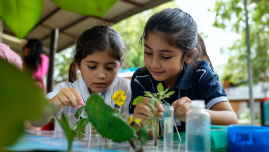 NIñas aprendiendo biología